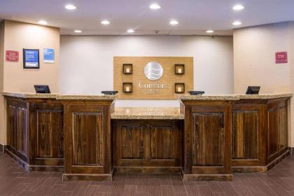 Comfort Inn Naugatuck - Waterbury - image 8