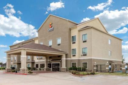 Comfort Inn & Suites Navasota - image 1