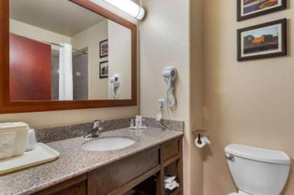 Comfort Inn & Suites Navasota - image 15