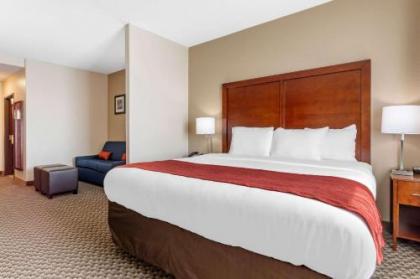 Comfort Inn & Suites Navasota - image 2