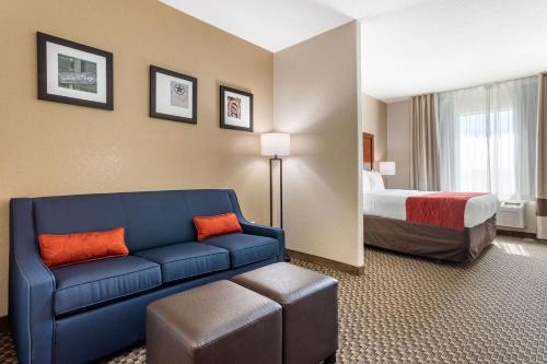 Comfort Inn & Suites Navasota - image 3