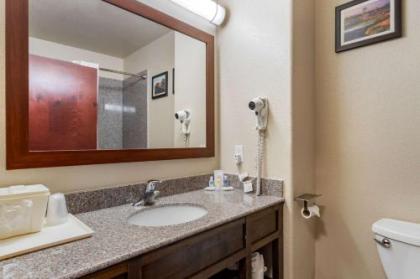 Comfort Inn & Suites Navasota - image 4