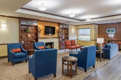 Comfort Inn & Suites Navasota - image 9