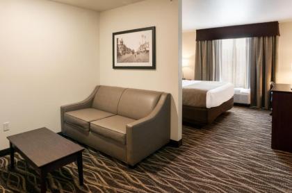 Cobblestone Hotel & Suites - Appleton International Airport - image 15