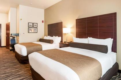 Cobblestone Hotel & Suites - Appleton International Airport - image 4