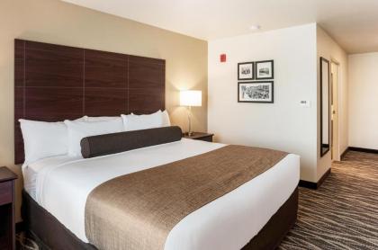 Cobblestone Hotel & Suites - Appleton International Airport - image 6