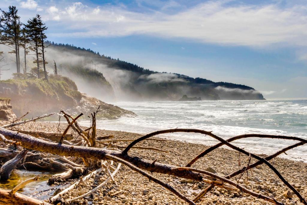 Netarts Bay Overlook - image 2