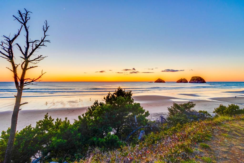 Netarts Bay Overlook - image 5