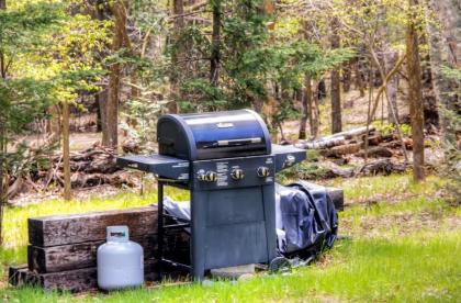 Lakefront Cabin with Private Deck Dock and Fire Pit! - image 15