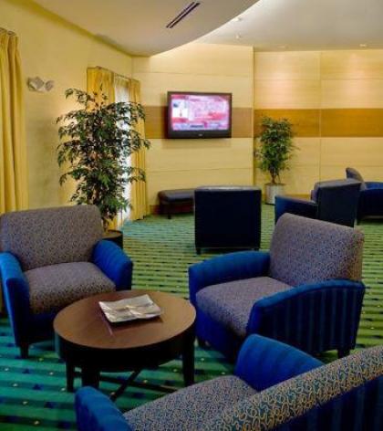 SpringHill Suites by Marriott New Bern - image 5