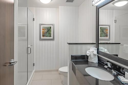 Fairfield Inn & Suites by Marriott New Braunfels - image 4