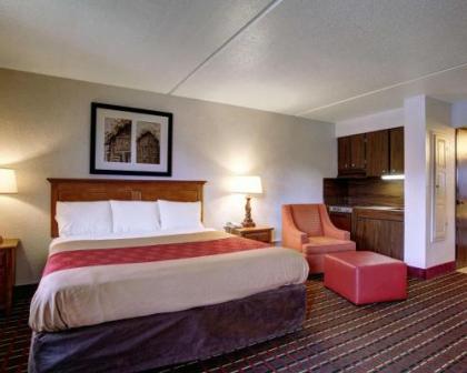 Rodeway Inn New Braunfels - image 1