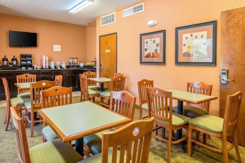 Econo Lodge Inn & Suites New Braunfels - image 2