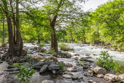 Gruene River Inn - image 4