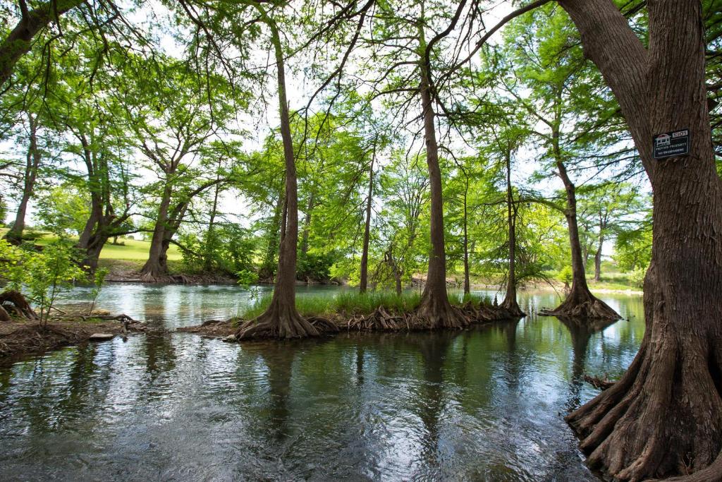 River Relaxation WW A302 - image 6