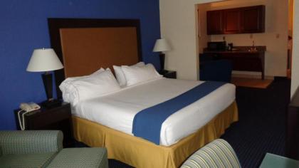 Holiday Inn Express & Suites New Buffalo MI an IHG Hotel - image 12