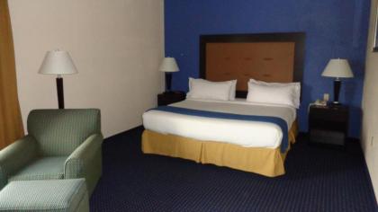 Holiday Inn Express & Suites New Buffalo MI an IHG Hotel - image 13