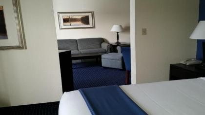 Holiday Inn Express & Suites New Buffalo MI an IHG Hotel - image 15