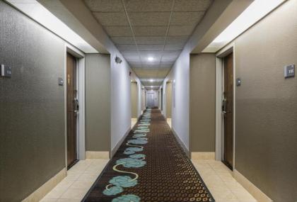 SureStay Hotel by Best Western New Buffalo - image 13