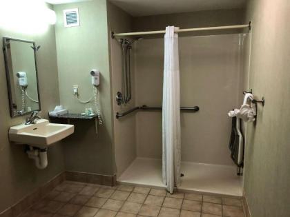 Quality Inn & Suites Skyways - image 2