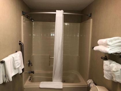 Quality Inn & Suites Skyways - image 4