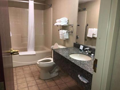 Quality Inn & Suites Skyways - image 5