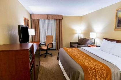 Comfort Inn Amish Country - image 6