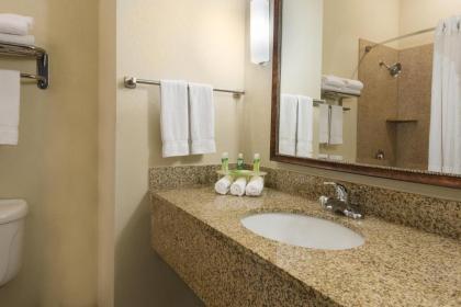 Holiday Inn Express Hotel & Suites New Iberia - Avery Island an IHG Hotel - image 15