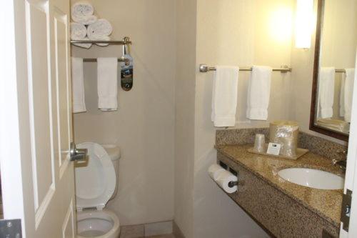 Holiday Inn Express Hotel & Suites New Iberia - Avery Island an IHG Hotel - image 2