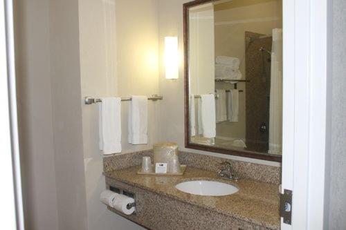 Holiday Inn Express Hotel & Suites New Iberia - Avery Island an IHG Hotel - image 3