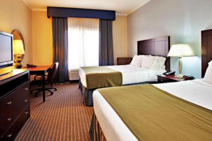 Holiday Inn Express Hotel & Suites New Iberia - Avery Island an IHG Hotel - image 4