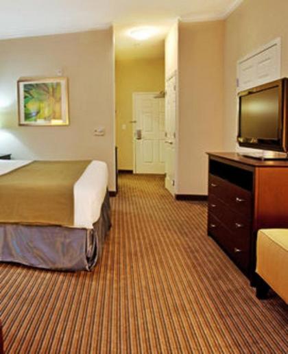 Holiday Inn Express Hotel & Suites New Iberia - Avery Island an IHG Hotel - image 7