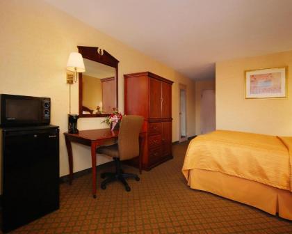 Quality Inn Shenandoah Valley - image 6