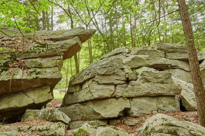 Tentrr - Grotto View at Stone Mountain - image 8