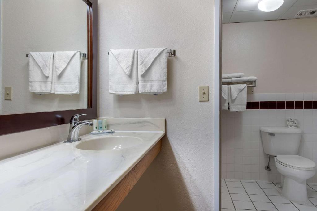 Quality Inn & Suites - image 7