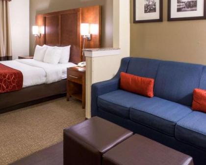 Comfort Suites Newark - Harrison - image 2