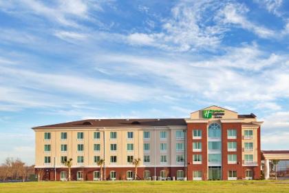 Holiday Inn Express and Suites Newberry an IHG Hotel - image 1