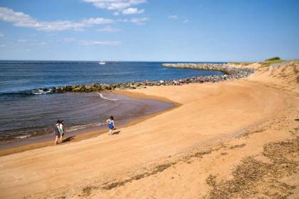 Plovers Nest - image 15