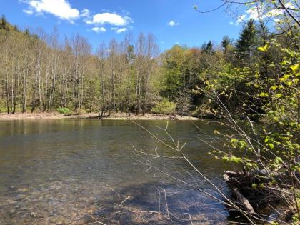 The Lodge at West River - image 10