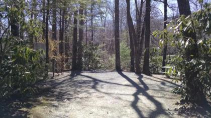 Linville Falls Campground RV Park and Cabins - image 13