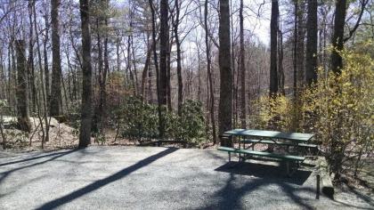 Linville Falls Campground RV Park and Cabins - image 7