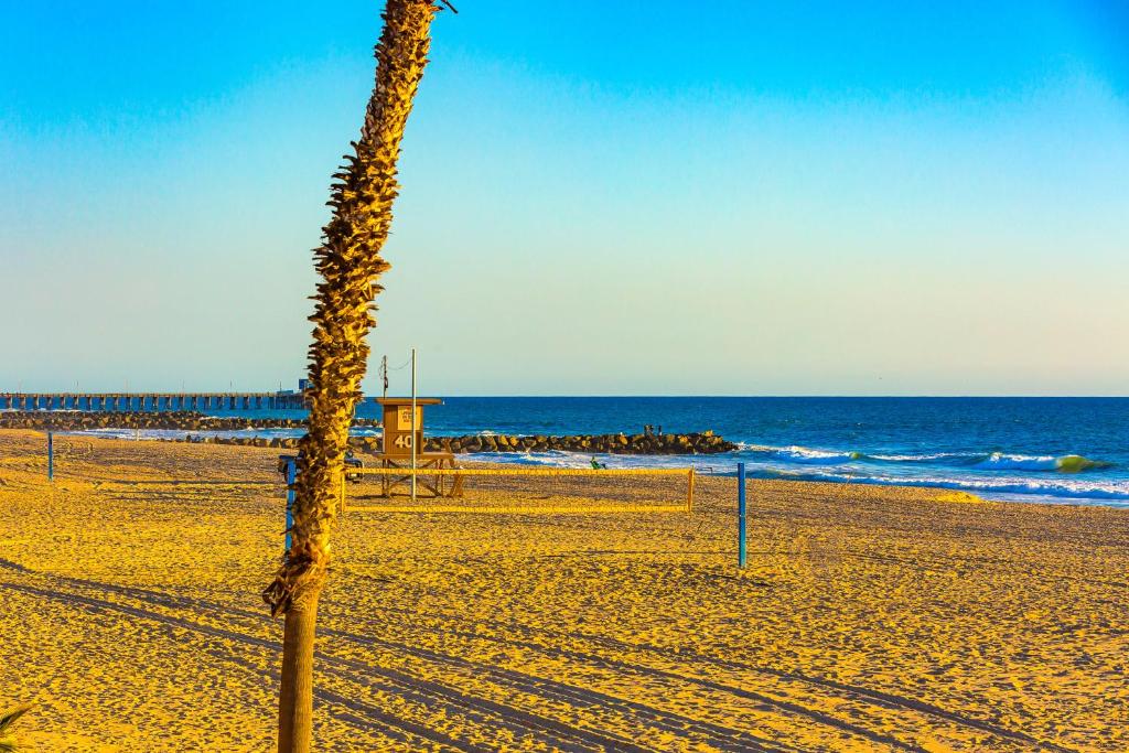 NB-4003A - Newport Beach Front View I - image 4