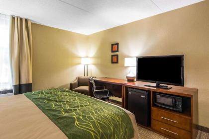 Comfort Inn Newport News Williamsburg East - image 15