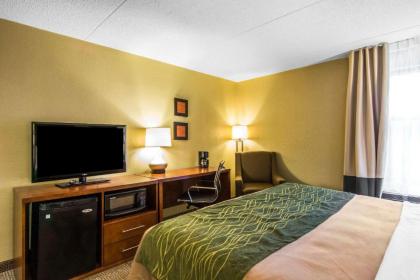 Comfort Inn Newport News Williamsburg East - image 16