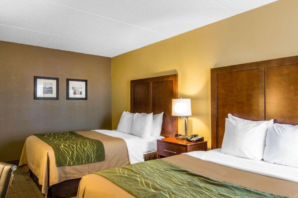 Comfort Inn Newport News Williamsburg East - image 7