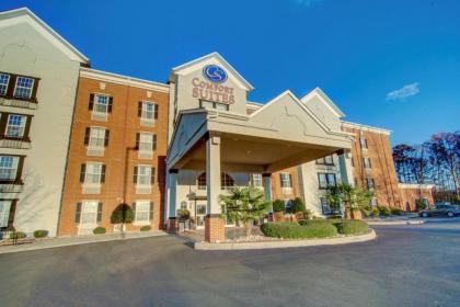 Comfort Suites Newport News Airport - image 4