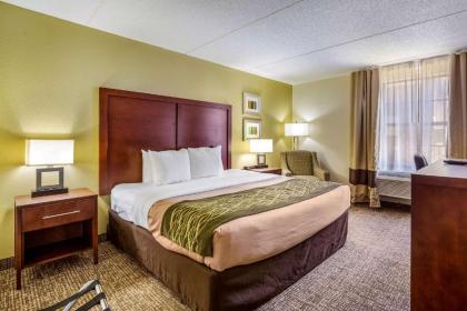 Comfort Inn Newport News - Hampton I-64 - image 15