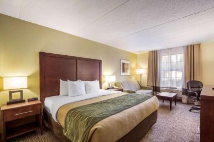 Comfort Inn Newport News - Hampton I-64 - image 6