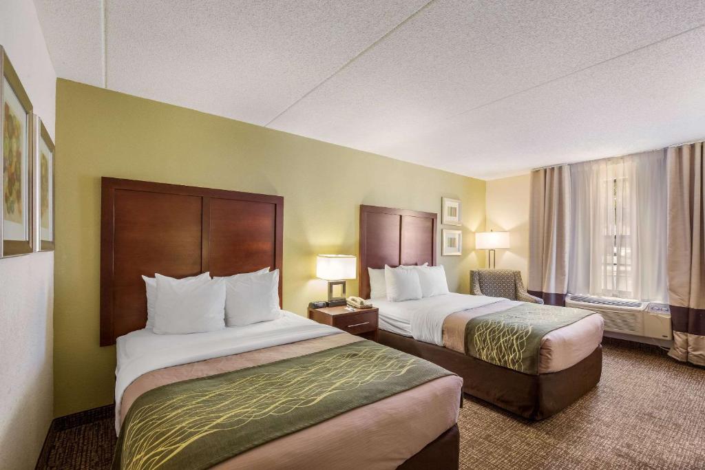 Comfort Inn Newport News - Hampton I-64 - image 7