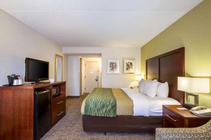 Comfort Inn Newport News - Hampton I-64 - image 9